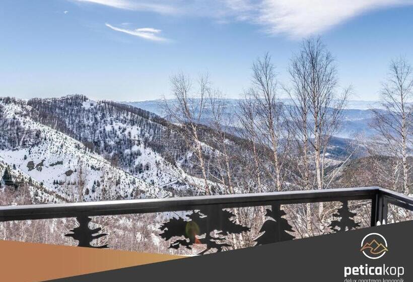 استودیو استاندارد با تخت کینگ, Apartman Petica Kop A8 Kopaonik