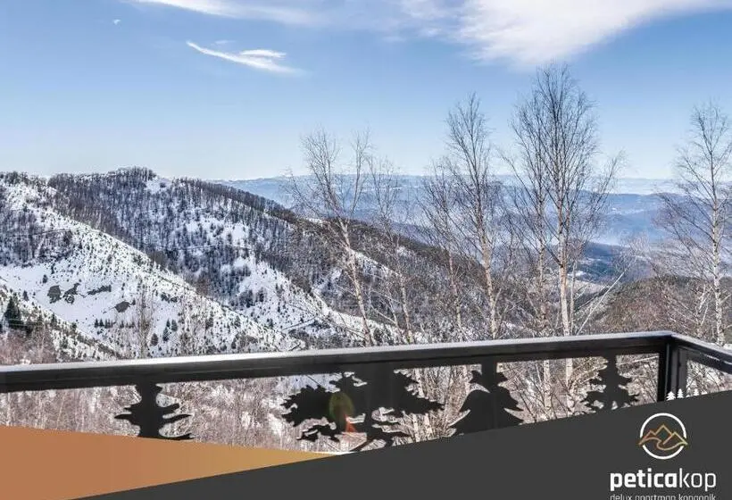 استودیو استاندارد با تخت کینگ, Apartman Petica Kop A8 Kopaonik