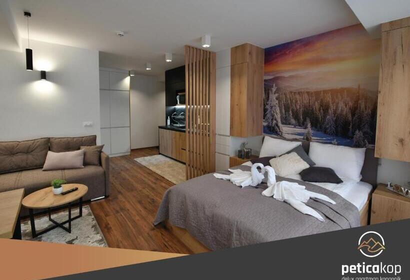 استودیو استاندارد با تخت کینگ, Apartman Petica Kop A8 Kopaonik