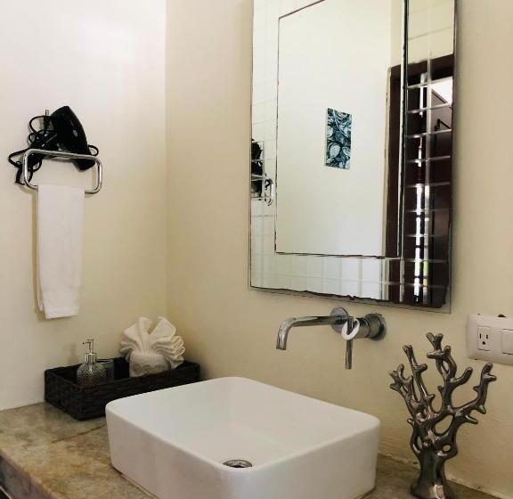 带大床的豪华间, Villas Segovia Hotel Boutique & Suites