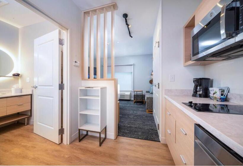 带大床的标准工作室, Towneplace Suites By Marriott Louisville Downtown