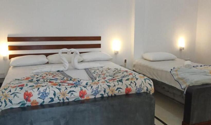 اتاق لوکس خانوادگی, Petit Guest House