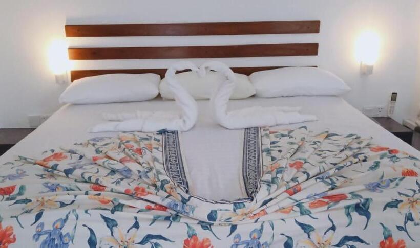 디럭스 패밀리 룸, Petit Guest House