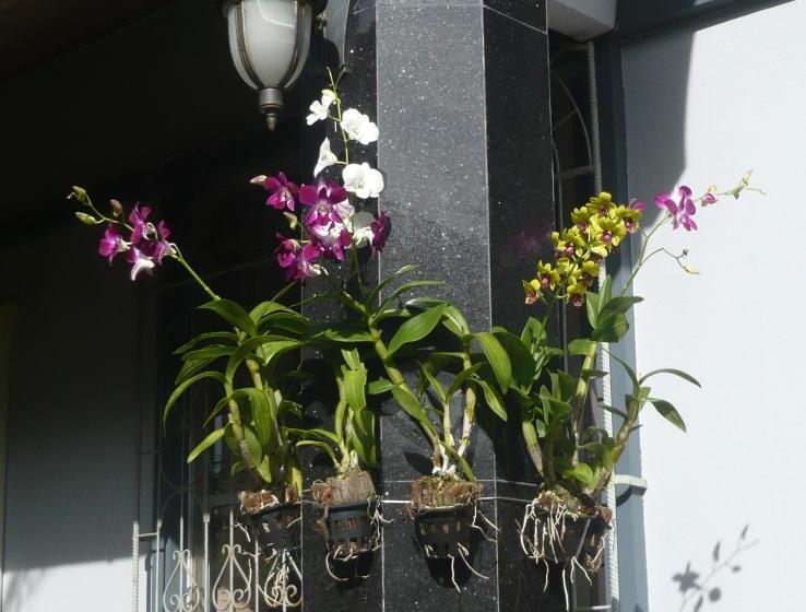 Номер Economy, The Pace Phuket Boutique Resort