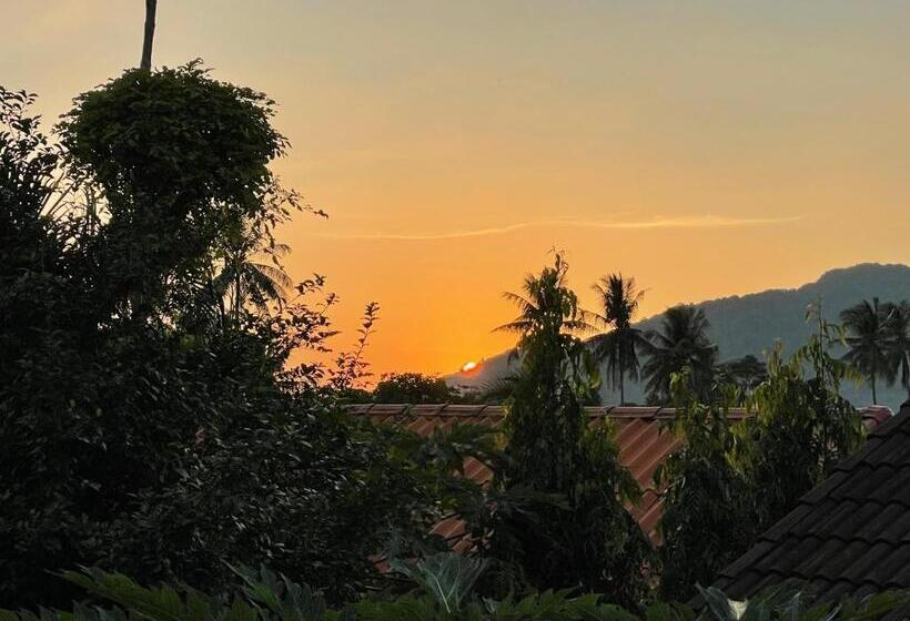 Номер Economy, The Pace Phuket Boutique Resort