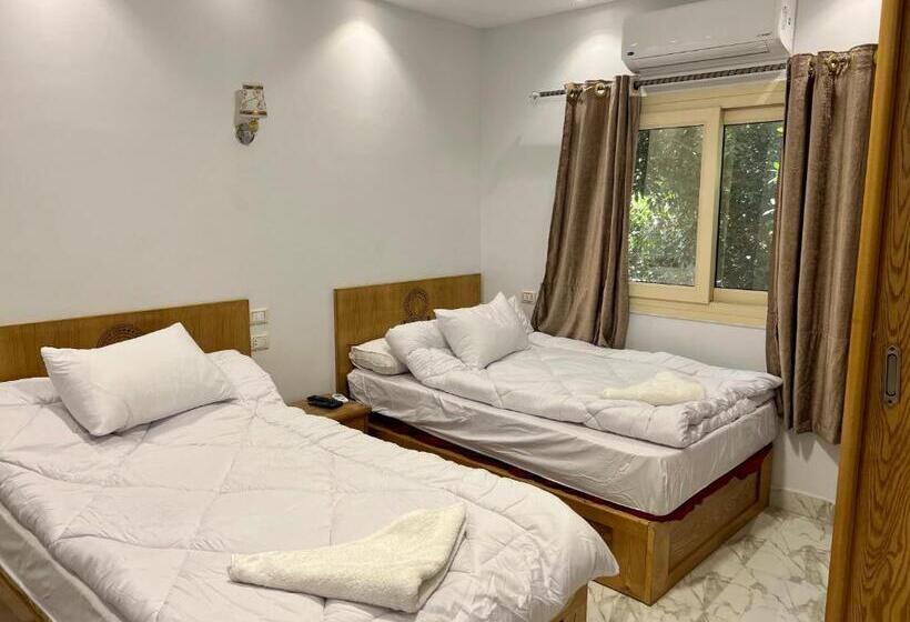اتاق استاندارد با چشم‌انداز باغ, Life Pyramids Inn