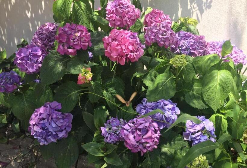 Номер Стандарт Вид на Бассейн, B&b Macchia Verdata Avec Piscine