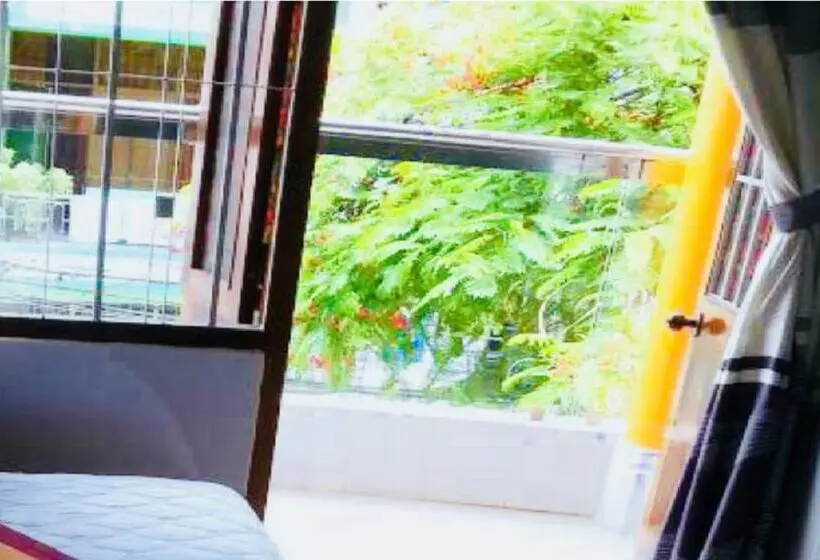 اتاق لوکس, Hồng Hạc Nha Trang