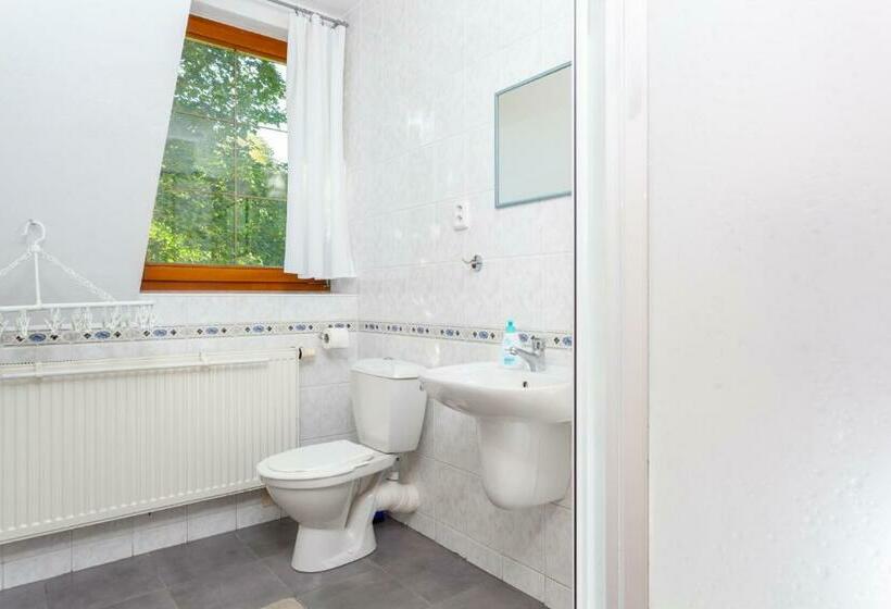 标准间, Penzión Javor