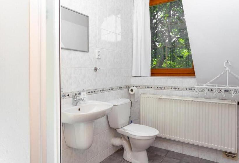 标准间, Penzión Javor