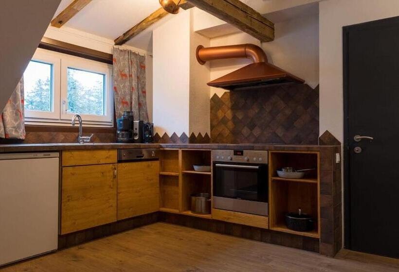 Апартаменты 1 Спальня, K2 Brunnen Haus