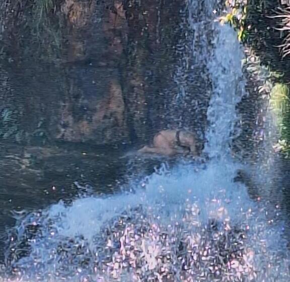 בית, חדר שינה 1, Cantinho Da Lobeira