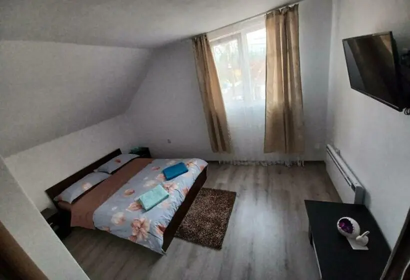 スタンダードルーム, Casa Alex