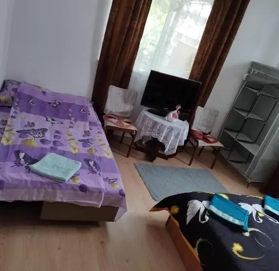 ファミリールーム, Casa Alex