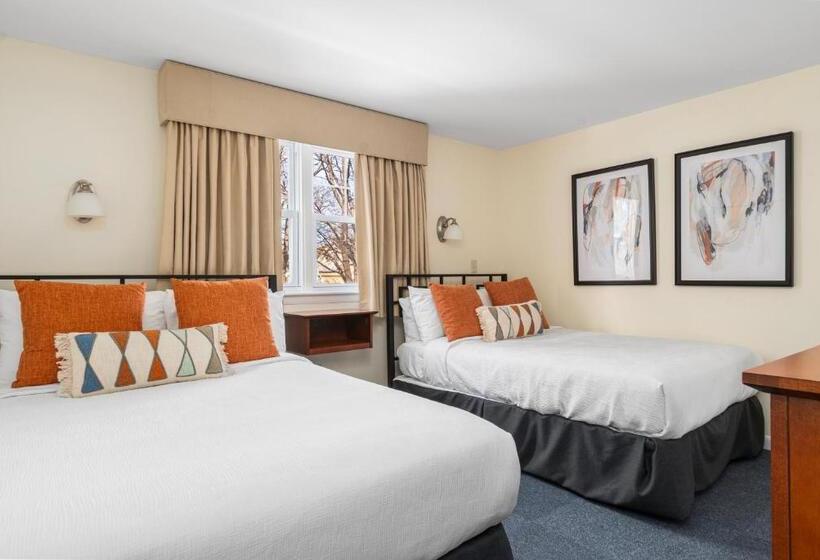 带1个卧室的公寓, The Beverly