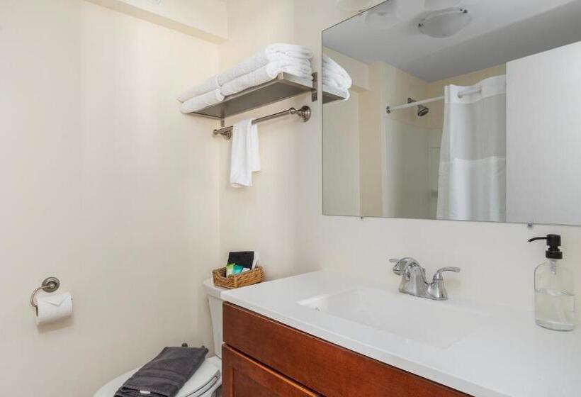 침실 1개 아파트, The Beverly