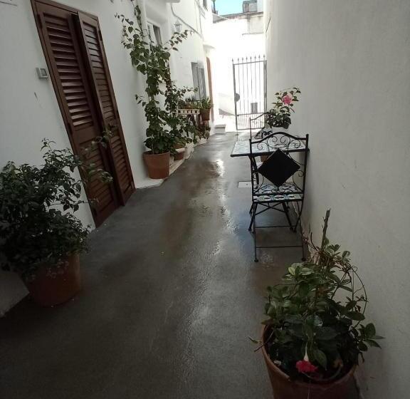 家庭套房, Salento Nonni