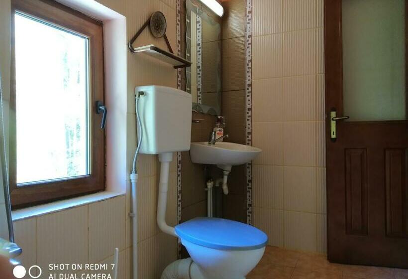 חדר סטנדרט, La Trovantzi