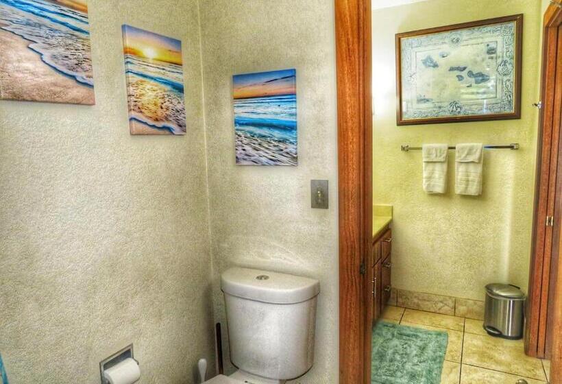 带1个卧室带花园景观的公寓, Aloha   Poipu Beach Vacation Condo