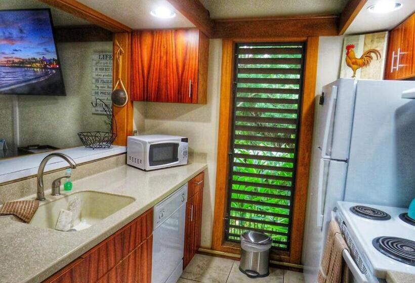 带1个卧室带花园景观的公寓, Aloha   Poipu Beach Vacation Condo