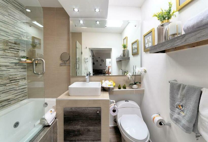 سوئیت با تخت بزرگ, Departamento Amueblado Master Suite