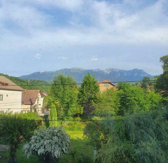 اتاق استاندارد, Vila Codreanu