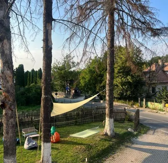 1 Yatak Odalı Villa, Vila Codreanu