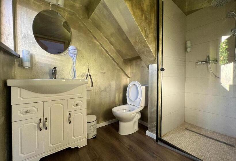 ویلای 1 خوابه, Vila Codreanu