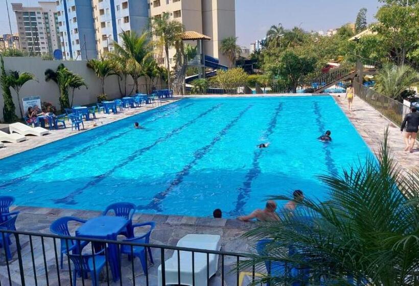 Апартаменты 1 Спальня, Golden Dolphin Express