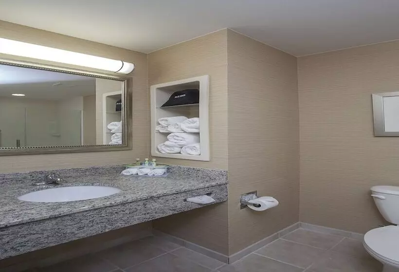 スタンダードルーム, Holiday Inn Express Hotel & Suites Morgan City  Tiger Island, An Ihg