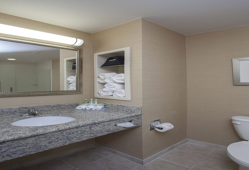 Люкс, Holiday Inn Express Hotel & Suites Morgan City  Tiger Island, An Ihg