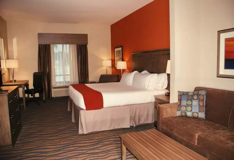 スイート, Holiday Inn Express Hotel & Suites Morgan City  Tiger Island, An Ihg