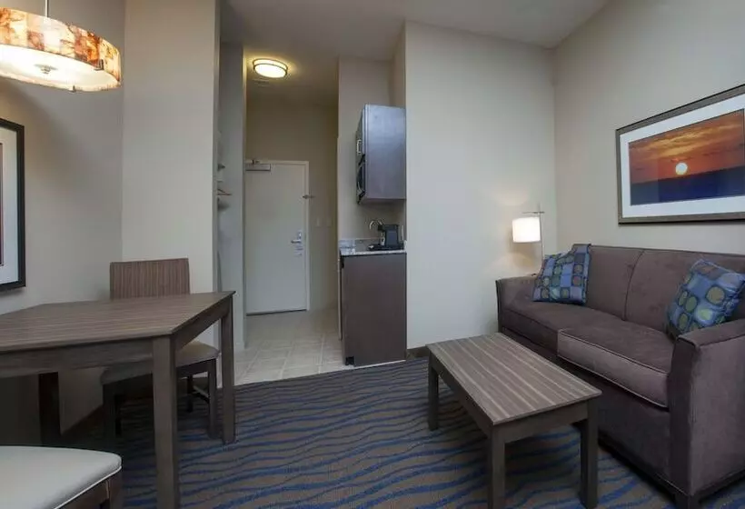 身障者適用スイートルーム, Holiday Inn Express Hotel & Suites Morgan City  Tiger Island, An Ihg