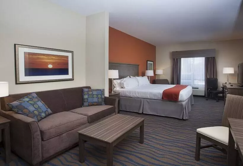 身障者適用スイートルーム, Holiday Inn Express Hotel & Suites Morgan City  Tiger Island, An Ihg