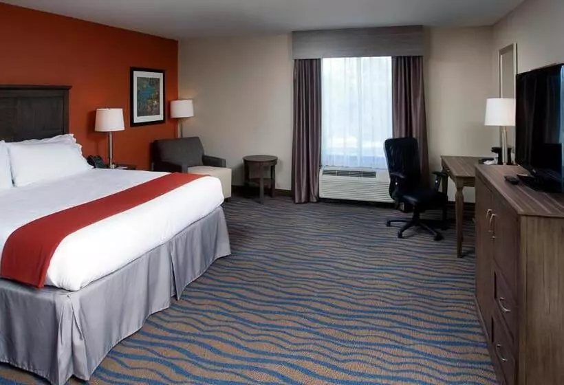 キングサイズベッドのスタンダードルーム, Holiday Inn Express Hotel & Suites Morgan City  Tiger Island, An Ihg