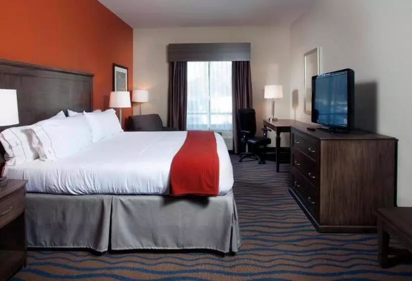 キングサイズベッドのスタンダードルーム, Holiday Inn Express Hotel & Suites Morgan City  Tiger Island, An Ihg