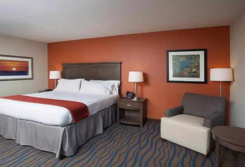 キングサイズベッドのスタンダードルーム, Holiday Inn Express Hotel & Suites Morgan City  Tiger Island, An Ihg