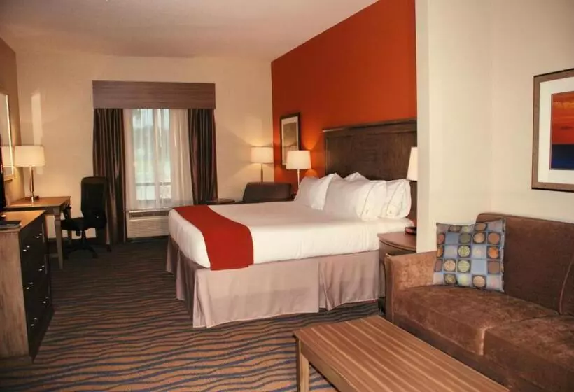 キングサイズベッドのスイートルーム, Holiday Inn Express Hotel & Suites Morgan City  Tiger Island, An Ihg