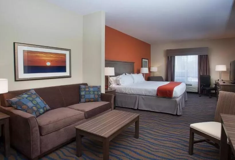 キングサイズベッドのスイートルーム, Holiday Inn Express Hotel & Suites Morgan City  Tiger Island, An Ihg