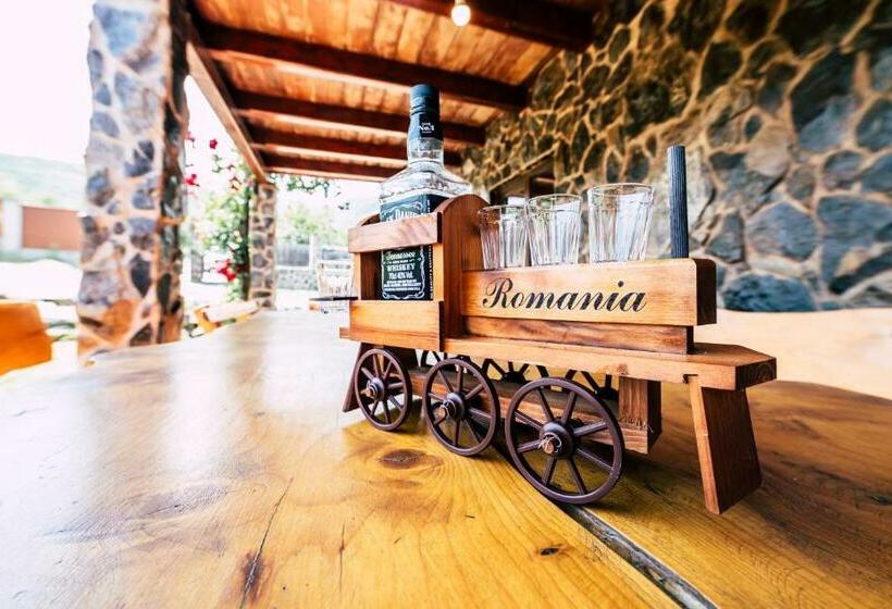 带1个卧室的公寓, Casa De Vacanta Sadu