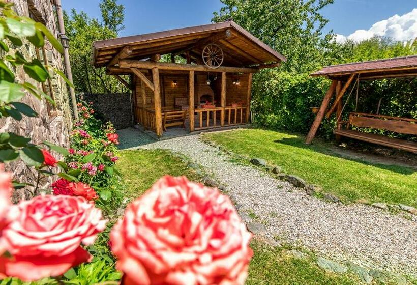 带1个卧室的公寓, Casa De Vacanta Sadu