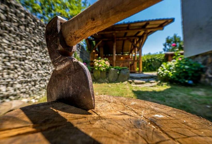 带1个卧室的公寓, Casa De Vacanta Sadu