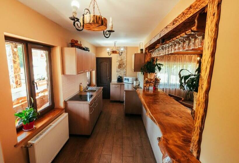 带1个卧室的公寓, Casa De Vacanta Sadu