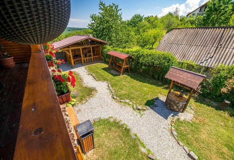 带1个卧室的公寓, Casa De Vacanta Sadu