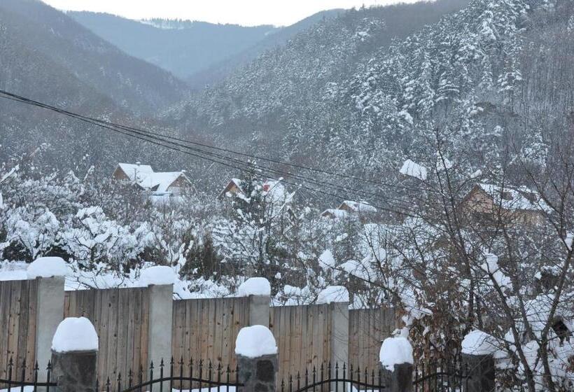 带1个卧室的公寓, Casa De Vacanta Sadu