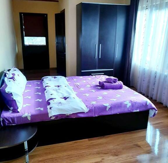 带1个卧室的公寓, Casa De Vacanta Sadu