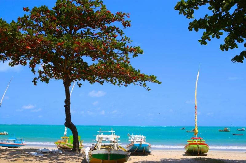 اتاق استاندارد, Edf Time   Conforto E Sofisticação