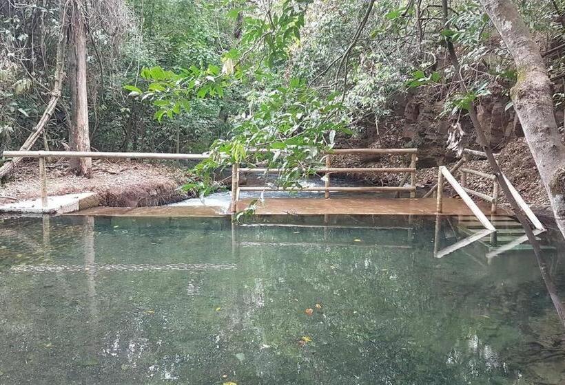 带1个卧室的公寓, Park Veredas Flat Service