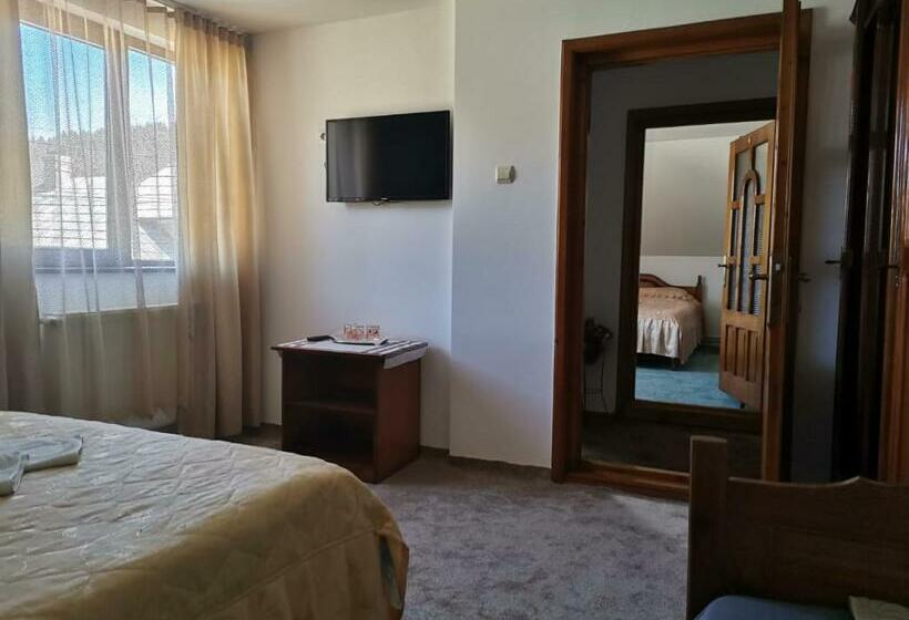 Апартаменты 2 Спальни, Pensiunea Casa Domniței Sucevița