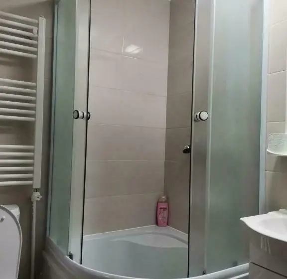 2ベッドルームアパートメント, Pensiunea Casa Domniței Sucevița